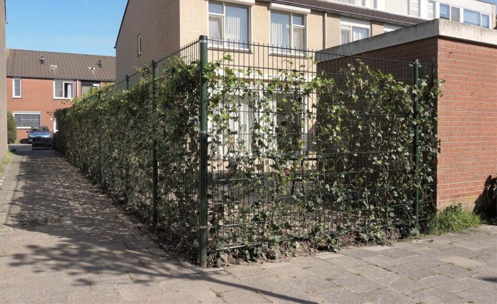 Vervangen schuttingen – aanpassing